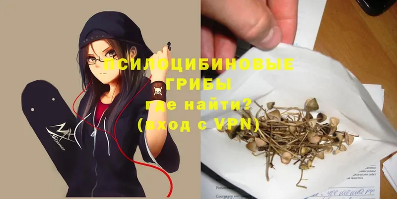 Галлюциногенные грибы MAGIC MUSHROOMS  Ясногорск 